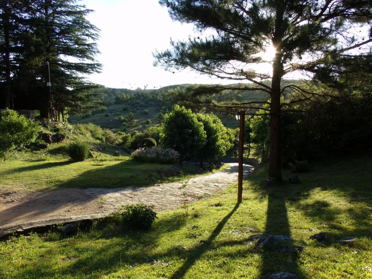Lodge Suenos Del Bosque *